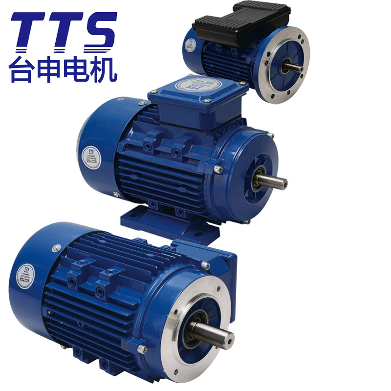 台湾台申TTS电机供应 三相铝壳电机