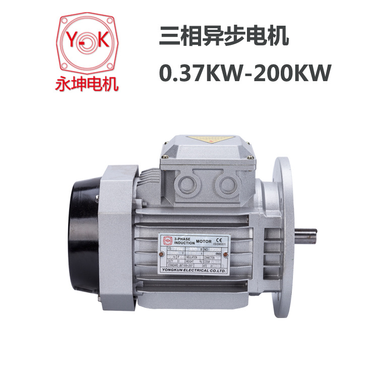 上海永坤YK系列铝壳三相异步电动机